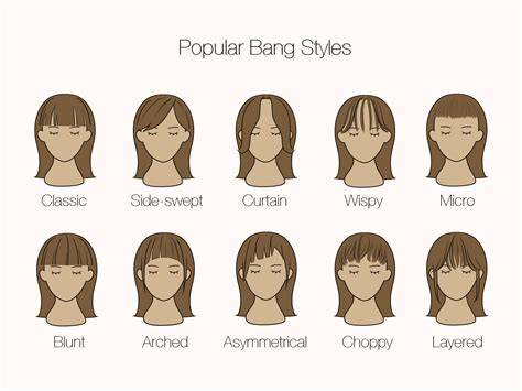 Fringe types visualization chart