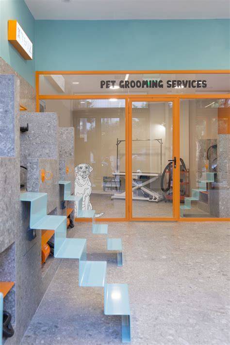 Grooming studio interior with clean, modern design