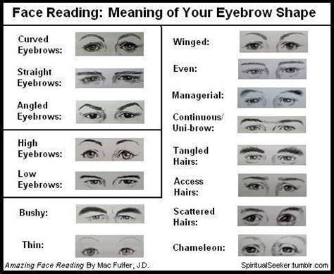 eyebrow cues distance eye line