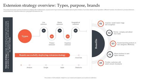 Infographic: Extension types overview