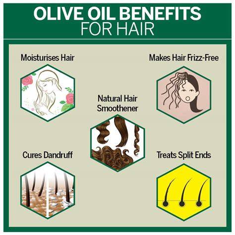 olive oil hair dandruff infographic