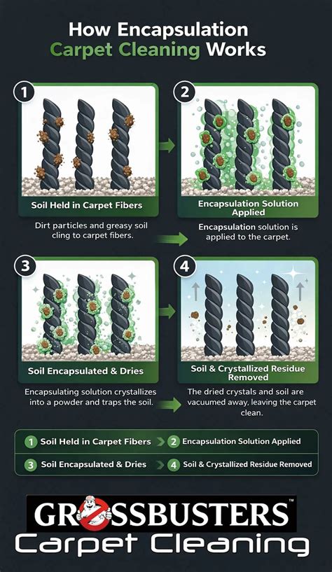carpet cleaning process diagram
