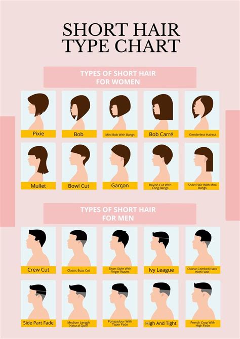 Infographic: haircut types for Westlake Village clients