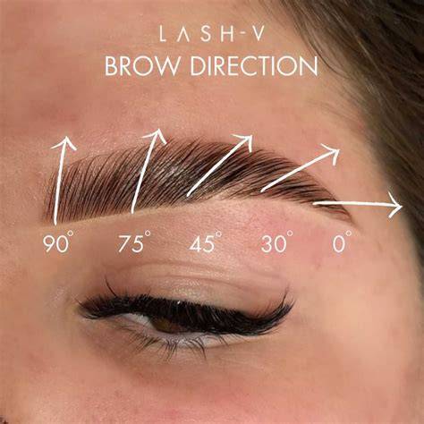 brow lamination and shaping guide