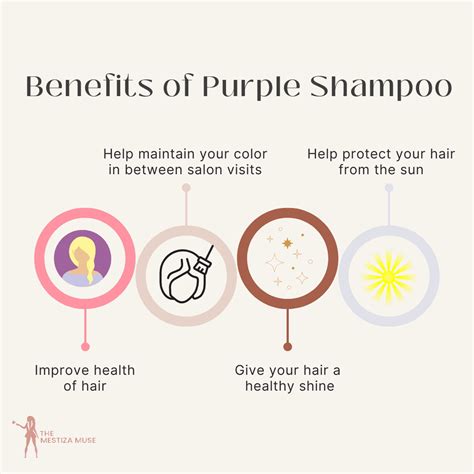 purple shampoo benefits and ingredients infographic