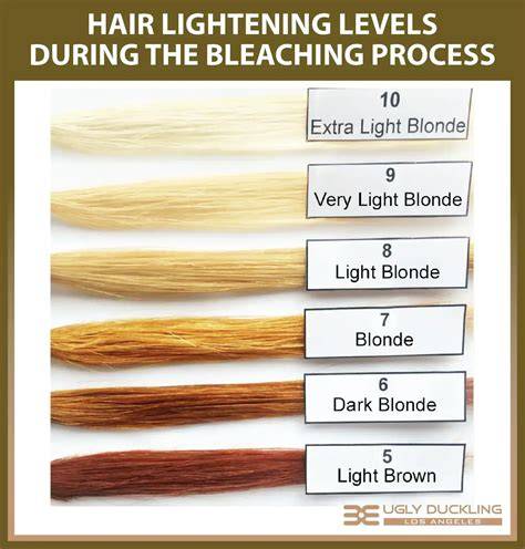 infographic: dark-to-blonde bleaching steps