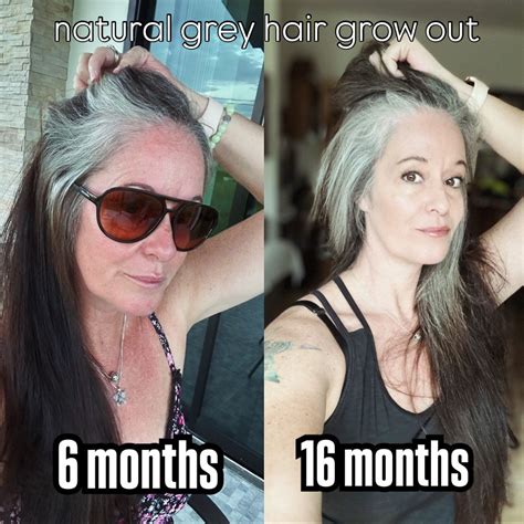 gray hair roots meme progression visual