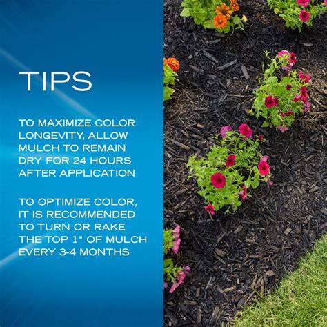 mulch color longevity infographic