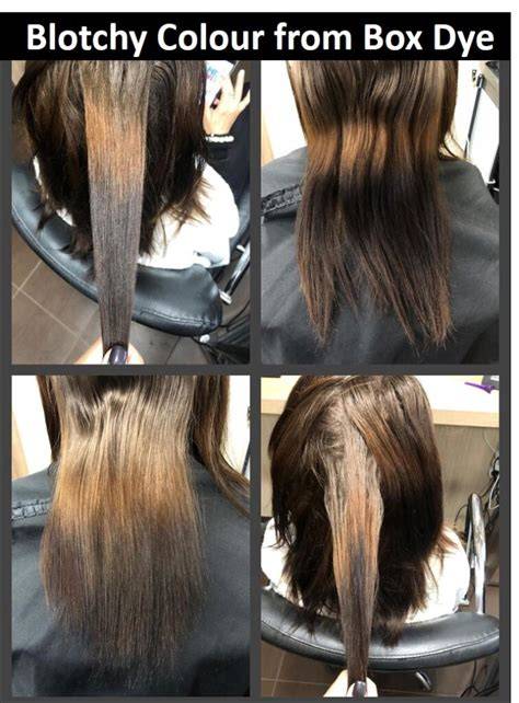 box dye vs salon dye infographic