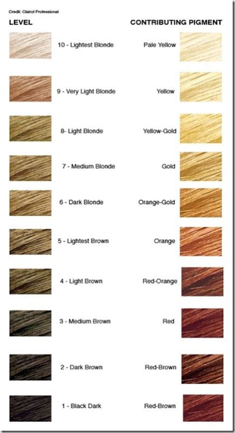 Hair color level and tone chart infographic