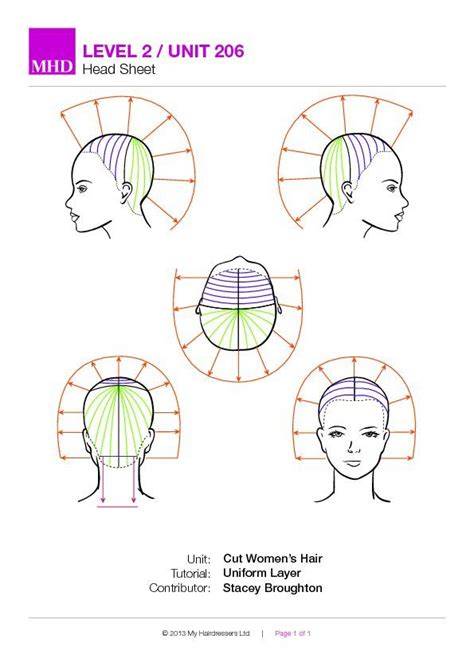 thickening haircut layers diagram