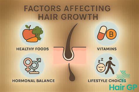 infographic showing hair growth factors