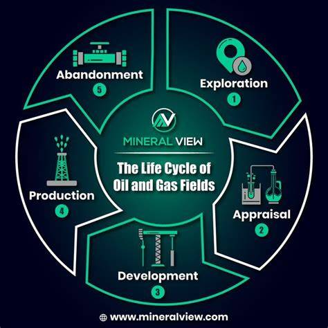 No-poo infographic: cycle of washing and oil production