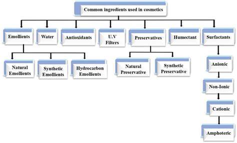 Infographic: common cosmetic ingredients and roles