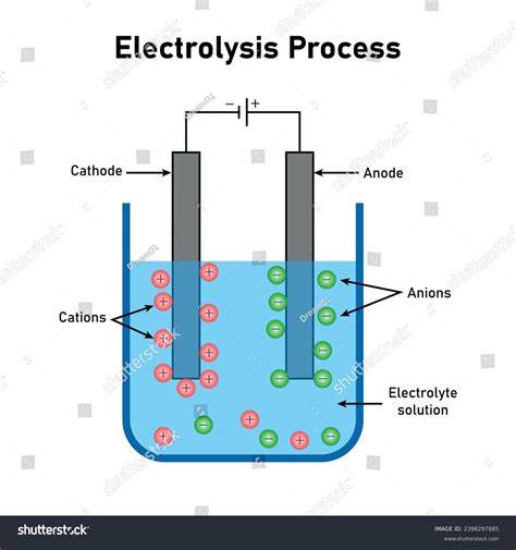 electrolysis procedure diagram
