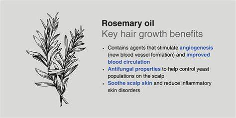 infographic of rosemary oil benefits for hair