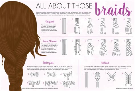 braid styling infographic