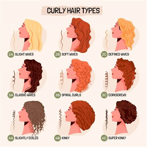 Curly hairstyle diagram for cut options