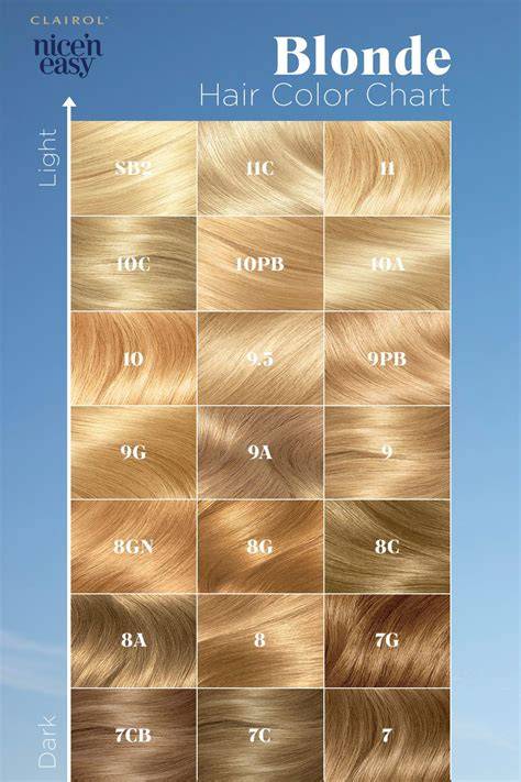 infographic: dirty blonde color spectrum and tones