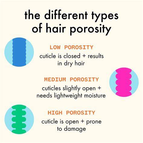 infographic on hair porosity and conditioner benefits