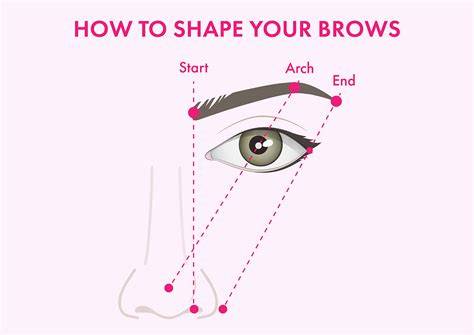 guide to brow shaping diagram