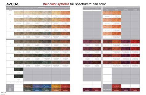 Infographic: Spartan hair color spectrum