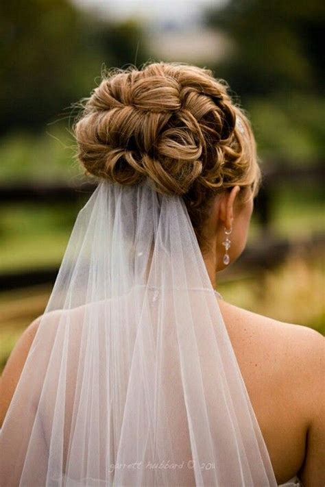 soft silhouette veil over updo inspiration