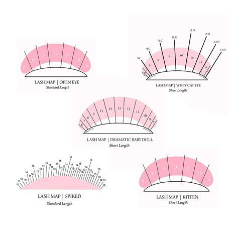 Round eyes lash mapping diagram
